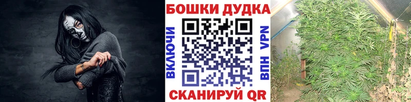 Канабис OG Kush  маркетплейс телеграм  Торжок 
